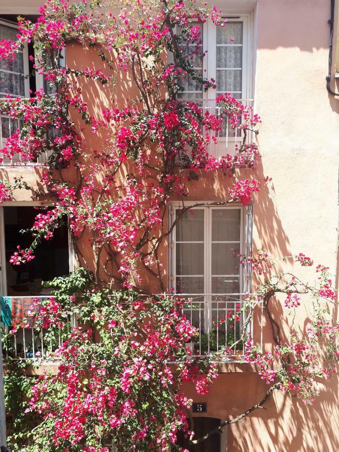 Blue Palm Apartment Hyères Kültér fotó
